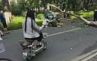 清华砸死北大教授
