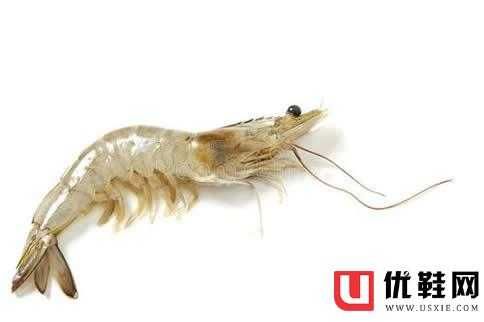 高蛋白低脂食物