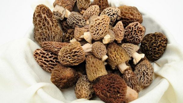 最简单易行的中药减肥方法 排毒通便瘦全身