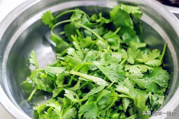 一年四季必备凉拌菜，香菜拌木耳，酸爽脆嫩，拯救你的秋季没胃口