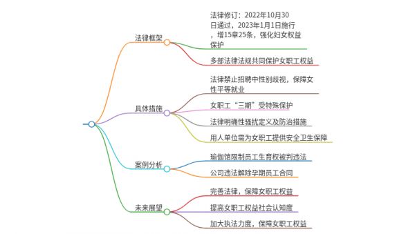 女职工权益保护保障法