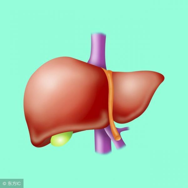 生酮饮食可以快速减脂，怎么做呢？记住这7个秘诀。