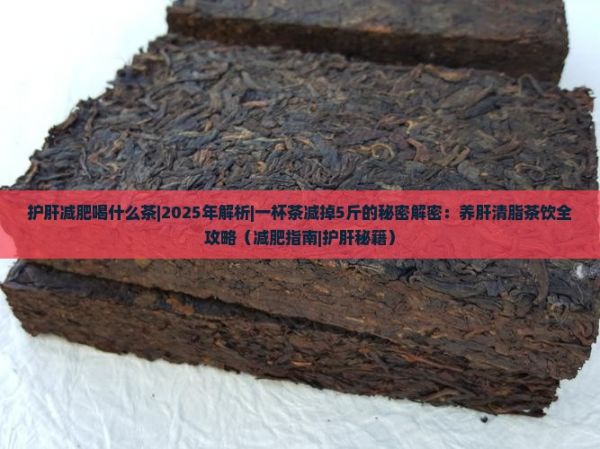 护肝减肥喝什么茶
