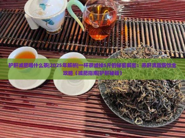 护肝减肥喝什么茶