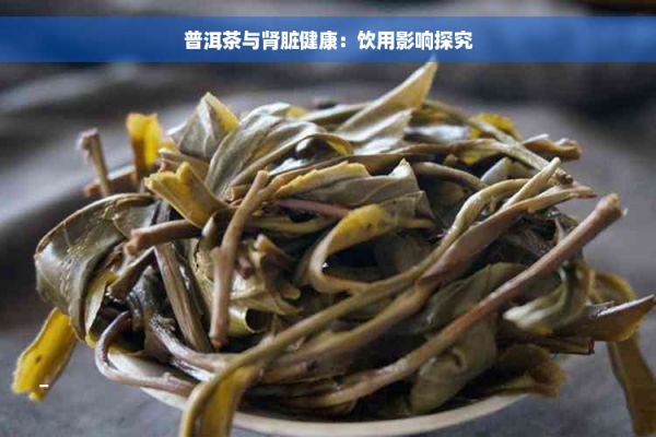 普洱茶與腎臟健康：飲用影響探究
