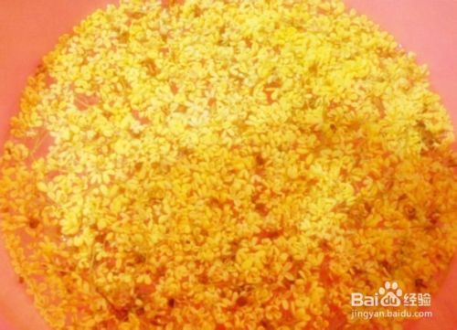 把秋天裝在碗里——桂花甜酒釀