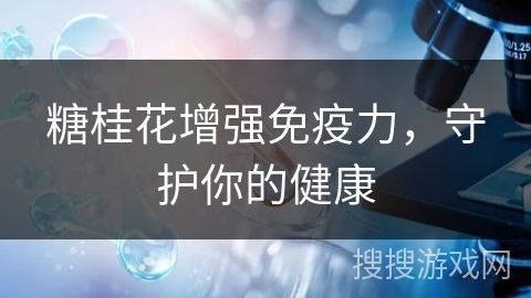 糖桂花增強(qiáng)免疫力，守護(hù)你的健康