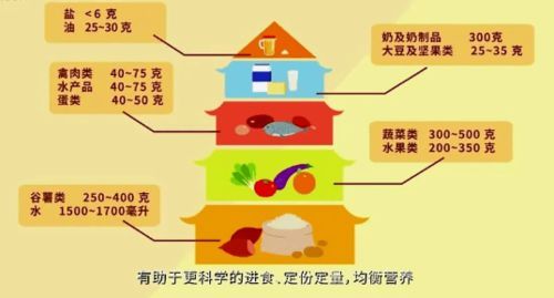 科學搭配，定時定量，營養(yǎng)均衡。