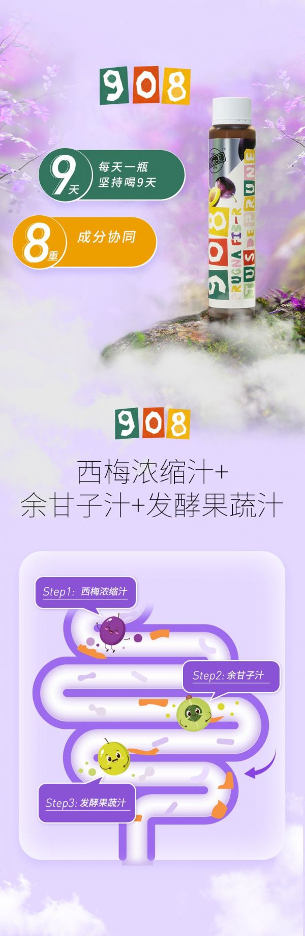 BioE 908西梅酵素_002.jpeg