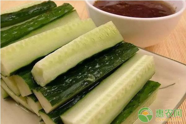 北方早春黄瓜优质丰产栽培技术-图片版权归惠农网所有