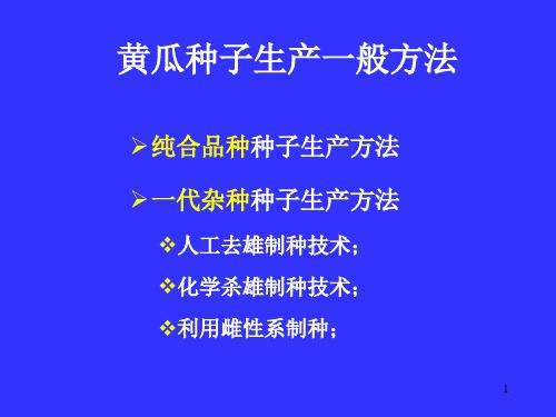精选黄瓜种子生产