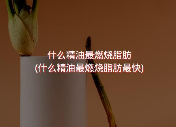 什么精油最燃烧脂肪 (什么精油最燃烧脂肪最快)