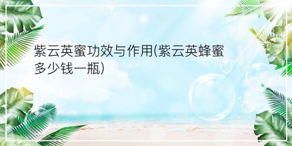 紫云英蜜功效與作用(紫云英蜂蜜多少錢一瓶)