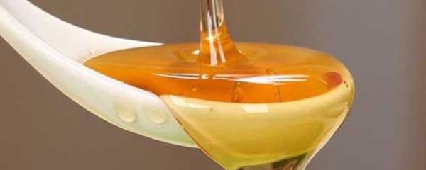 紫云英蜂蜜的价格，零售价格一般在30-50元一斤
