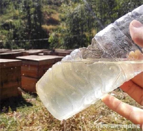 成熟蜜和水蜜的区别：不成熟的水蜜有功效吗？