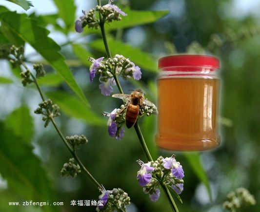 野荆花蜂蜜1