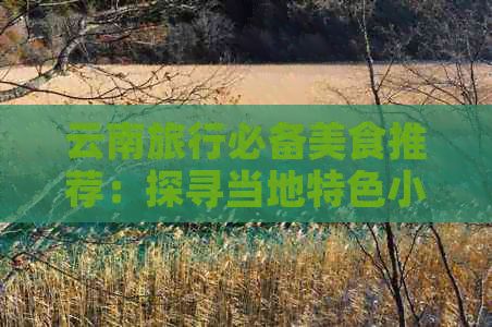 云南旅行必備美食推薦：探尋當(dāng)?shù)靥厣〕耘c佳肴的完美搭配