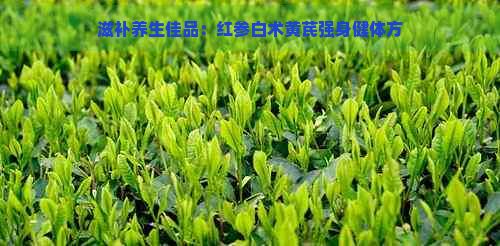 滋补养生佳品：红参白术黄芪强身健体方