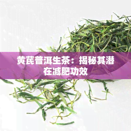 黄芪普洱生茶：揭秘其潜在减肥功效