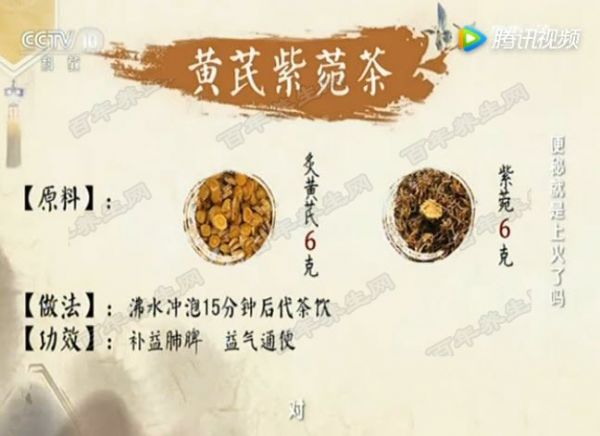 黄芪紫苑茶