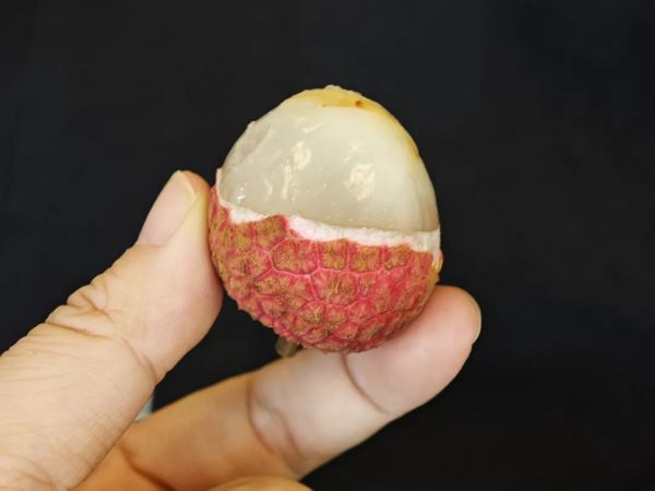 一颗荔枝三把火，荔枝壳煮水竟然是“下火良方”！