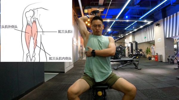 坐姿臂屈伸减肥王牌动作，快速燃脂，主要瘦胳膊，拉伸腰部