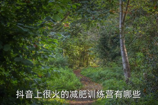 抖音上很火的减肥训练营有哪些