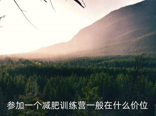 参加一个减肥训练营一般在什么价位