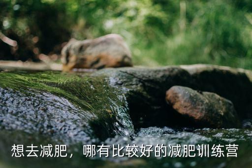 想去减肥，哪有比较好的减肥训练营
