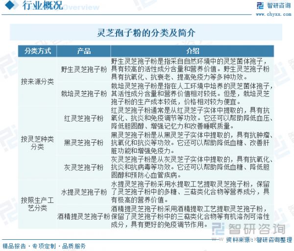 灵芝孢子粉的分类及简介