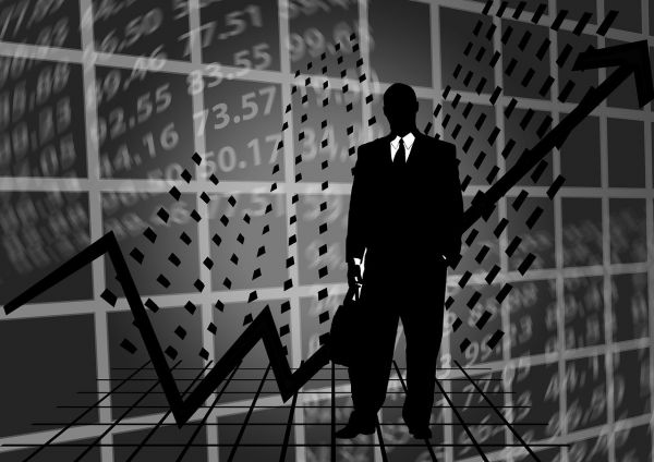 冬瓜子一个月涨幅超113%，市场现象背后的深度解析