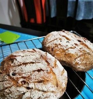 双色亚麻籽粉花卷制作方法(健康又美味的花卷)