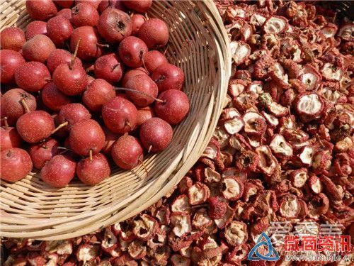 山楂的熱量是多少 山楂怎么吃能減肥