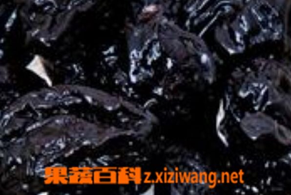 果蔬百科减肥话梅