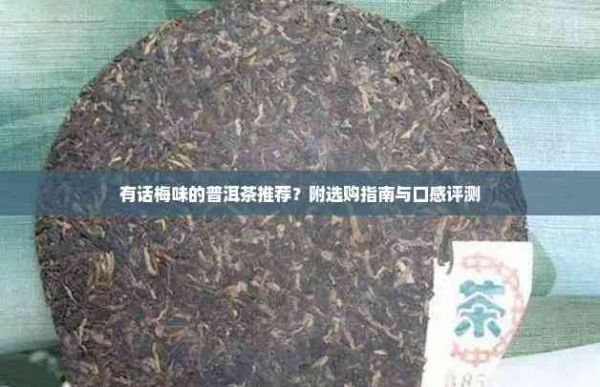 有話梅味的普洱茶推薦？附選購指南與口感評測