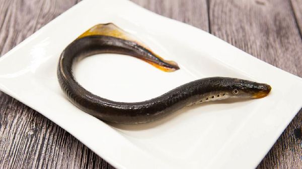 宝宝适宜清淡的食物