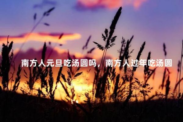 南方人元旦吃汤圆吗，南方人过年吃汤圆吗