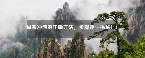 綠茶沖泡的正確方法，步驟逐一揭秘！-第1張-綠茶-鳳凰單叢茶網(wǎng)