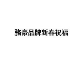 骆豪品牌新年祝大家一帆风顺，二龙腾飞，万事如意