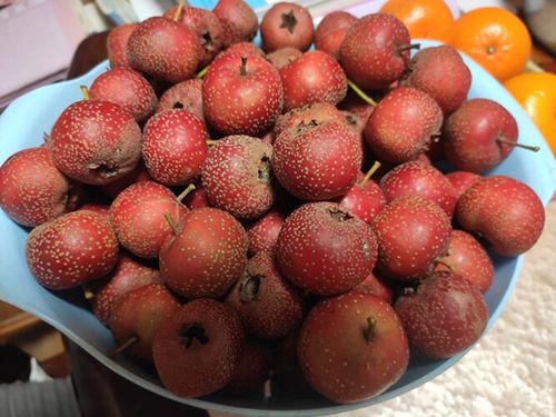 血糖6.8吃什么水果好 血糖高忌口食物一览