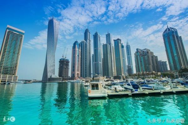 诊断艾滋病的基本依据