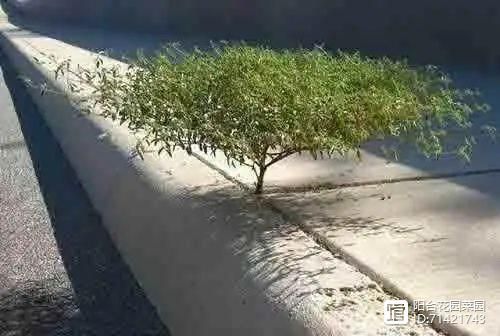 hiv试纸准确还是荧光