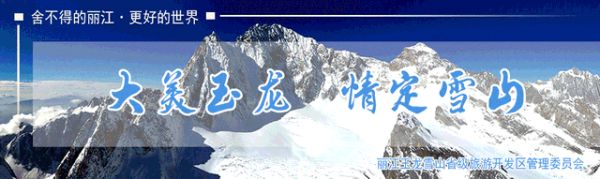 「丽江推荐」2022德申平台第三届国际商务交流与合作会议在丽江开幕