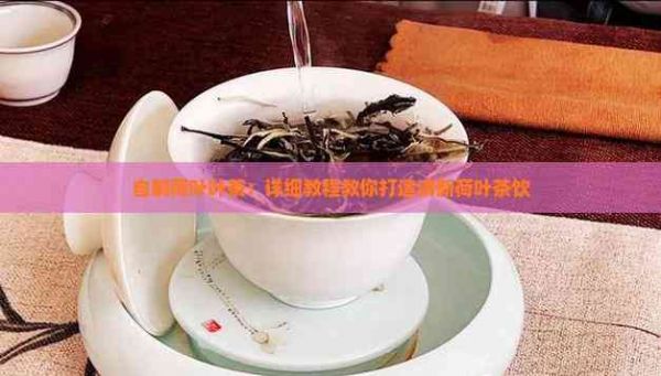 自制荷叶叶茶：详细教程教你打造清新荷叶茶饮