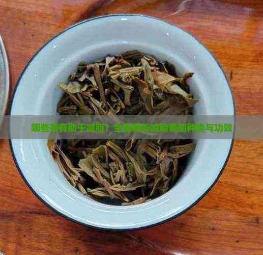 哪些茶有助于减脂？全面解析减脂茶的种类与功效