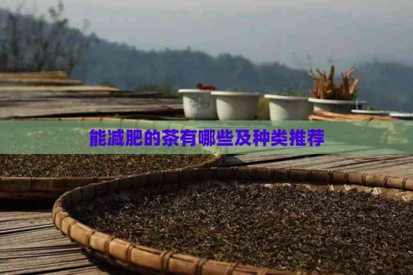 能减肥的茶有哪些及种类推荐