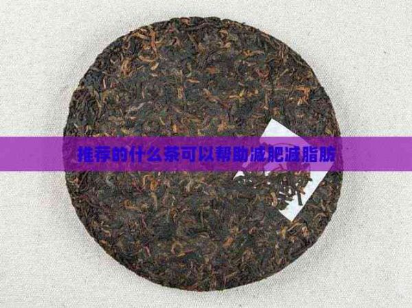 推荐的什么茶可以帮助减肥减脂肪