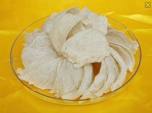 燕窝素耗尽应急方案：替代品选择与日常滋补建议