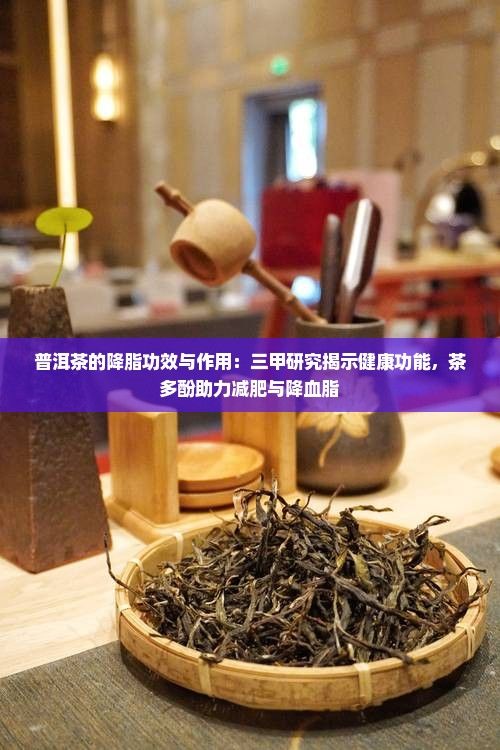 普洱茶的降脂功效与作用：三甲研究揭示健康功能，茶多酚助力减肥与降血脂