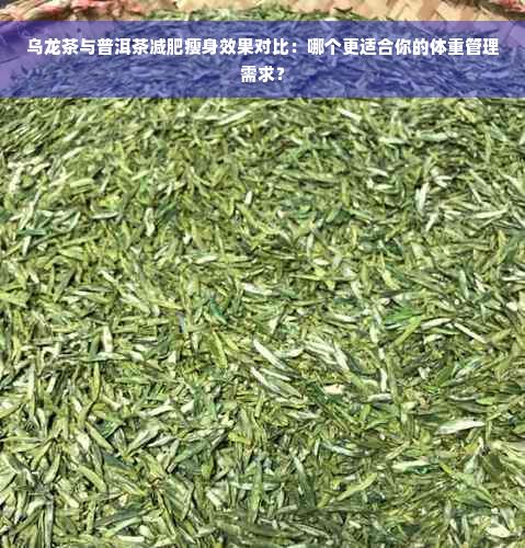 乌龙茶与普洱茶减肥瘦身效果对比：哪个更适合你的体重管理需求？